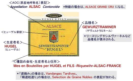 図解・アルザスワインラベルの読み方