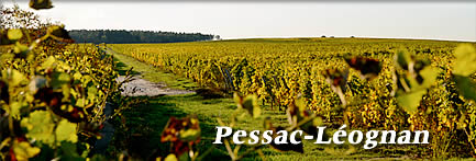 Pessac-Leognan(ペサック・レオニャン)