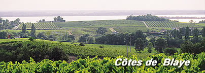 Côtes de Blaye（コート・ﾄﾞ・ブライ）