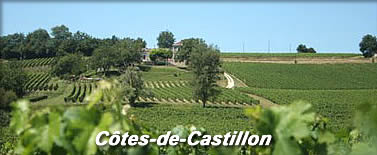 Côtes de Castillon(コート・ド・カスティヨン)