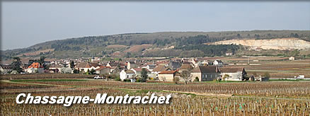 Chassagne-Montrachet（シャサーニュ・モンラッシェ)