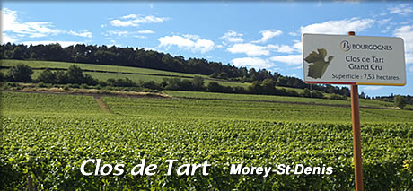 Clos_de_Tart(クロ・デ・タール)