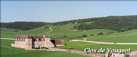 Clos de Vougeot (クロ・ド・ヴァージョ)