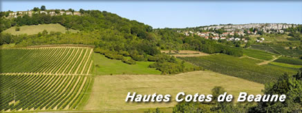 Haut-Cotes de Beaune（オー・コート・ド・ボーヌ)