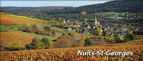 Nuits_St_Georges(ニュイ・サン・ジョルジュ)