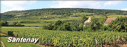 Santenay（サントネー)