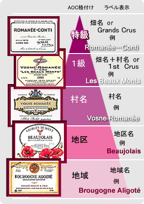 ブルゴーニュAOC格付け図解