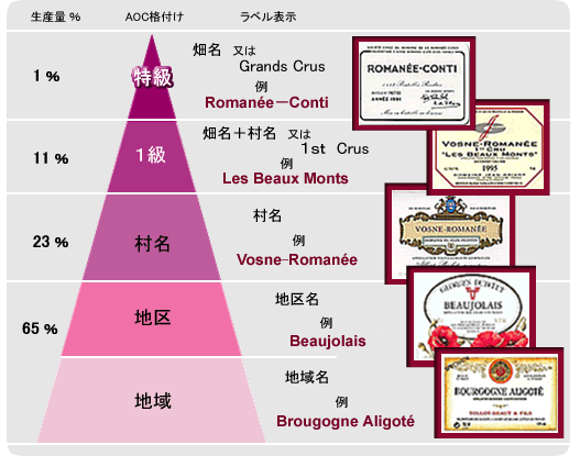 ブルゴーニュAOC格付け図解