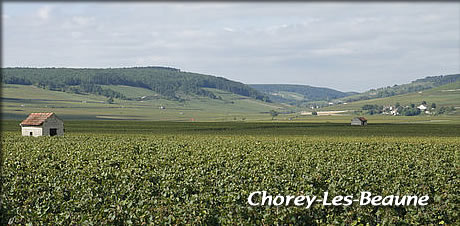 Chorey-Les-Beaune（ショレイ・レ・ボーヌ)