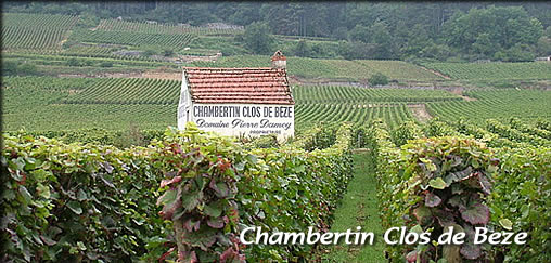 Chambertin Clos de Bezen