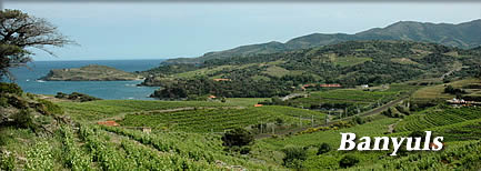 Banyuls