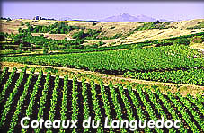 Languedoc