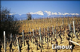 Limoux