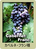 Cabernet Franc