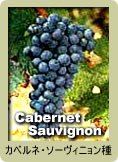 Cabernet Saubignon