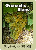 Grenache Blanc