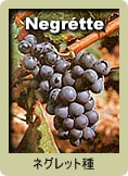 Negrette