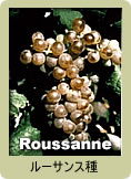 Roussanne