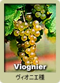 Viognier