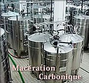 Macération-Carbonique
