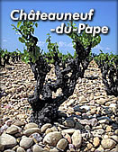Châteaunuef-du-Pape（シャトーヌフ・デュ・パープ）の土壌