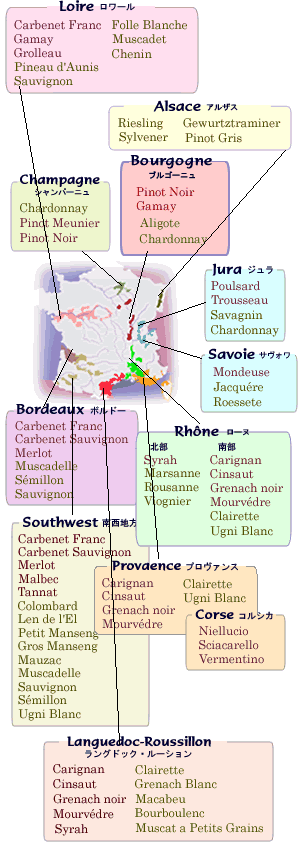 図ーフランスワイン品種