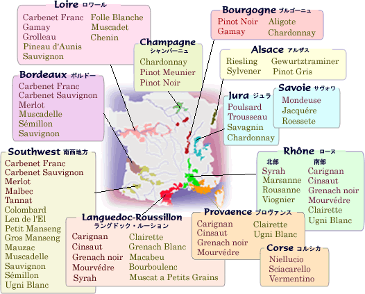 図ーフランスワイン品種