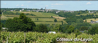  Coteaux du Layon