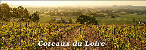 Coteaux du Loir