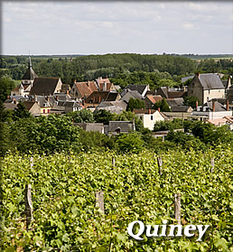 Quiney