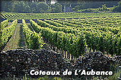  Coteaux de L'Aubance