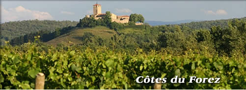 Cotes du Forez