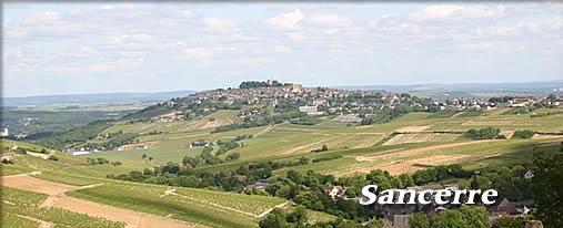  Sancerre (サンセ‐ル)