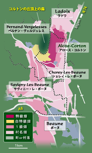 Aloxe-Corton WineMap(コルトンの丘周辺ワイン地図)