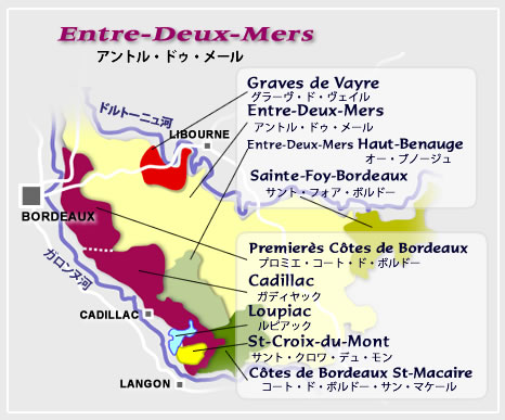 Entre-Deux-Mers WineMap(アントル・ドゥー・メール ワイン地図)