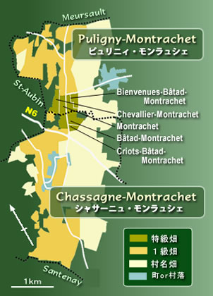 Montrachet WineMap(モンラッシェ ワイン地図)