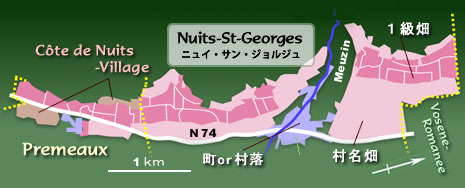 Nuits_St_Georges　WineMap(ニュイ・サン・ジョルジュワイン地図)