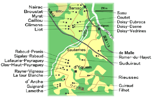 Sauternes WineMap(ソーテルヌ ワイン地図)