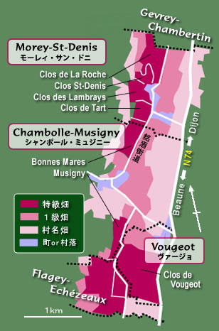 Vougeot ＆ Musigny (vヴァージョ・ミュージニー ワイン地図)