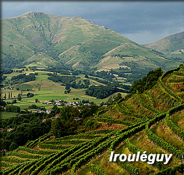 Irouléguy