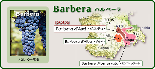 Barbera