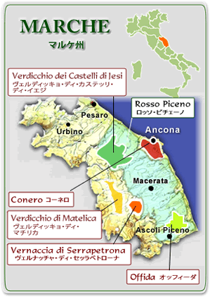 Marche WineMap