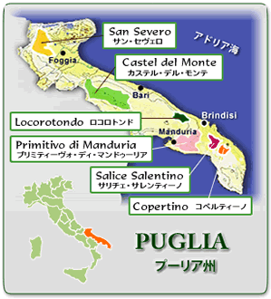 Puglia WineMap