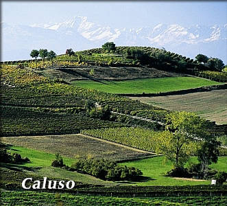 Caluso