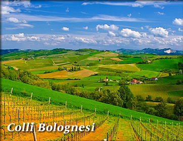 Colli Bolognesei