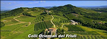 Colli Orientali del Friuli