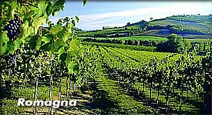 Albana di Romagna