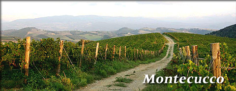 Montecucco