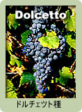 Dolcetto