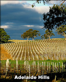 Adelaide Hills